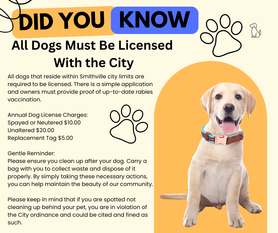 Dog License